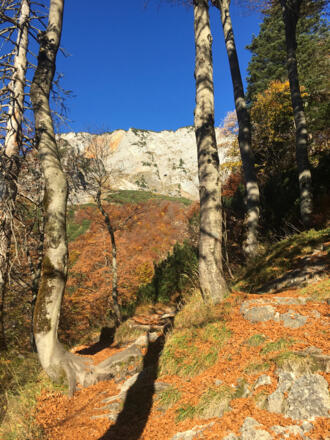 Aussicht zum Untersberg