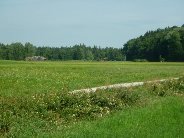 Blick ins Saaldorfer "Moos"