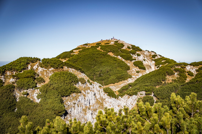 Der Salzburger Hochthron