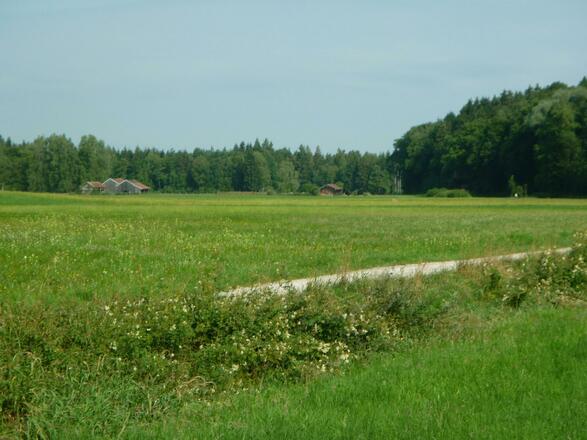 Blick ins Saaldorfer "Moos"