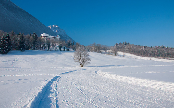 Langlaufloipe Piding