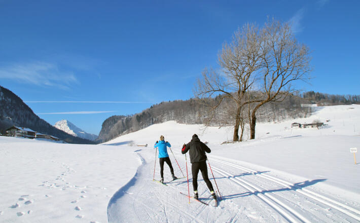 Klassisch Langlauf und Skating in Scheffau, Marktschellenberg