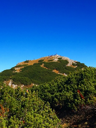 Salzburger Hochthron