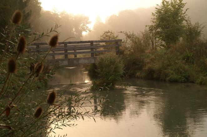 Herbststimmung am Mittergraben