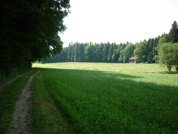 Rückweg ins Dorf über die "Schwell"