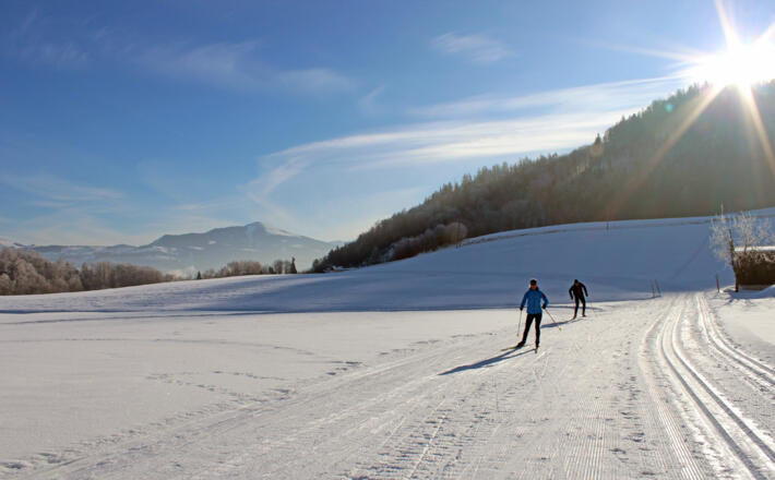 Klassisch Langlauf und Skating in Scheffau, Marktschellenberg