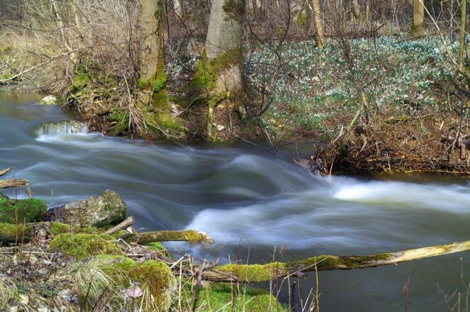 Frühlingsstimmung am Mittergraben