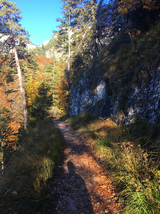 Wanderweg zur Toni Lenz Hütte