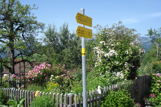 Wunderschöner Bauerngarten