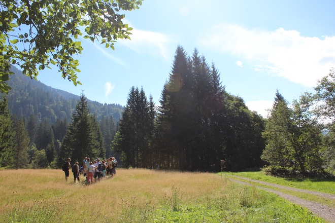 Tour durch Moor- und Streuwiesen in Balderschwang