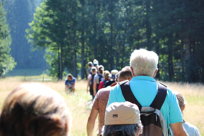Tour durch Moor- und Streuwiesen in Balderschwang
