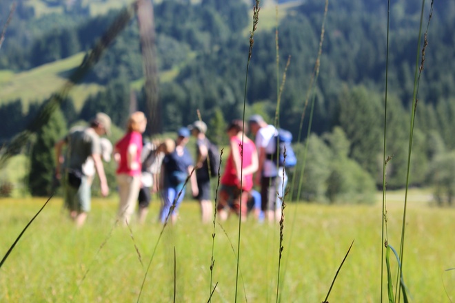 Tour durch Moor- und Streuwiesen in Balderschwang