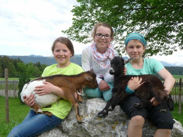 Laura, Lisa und Laura