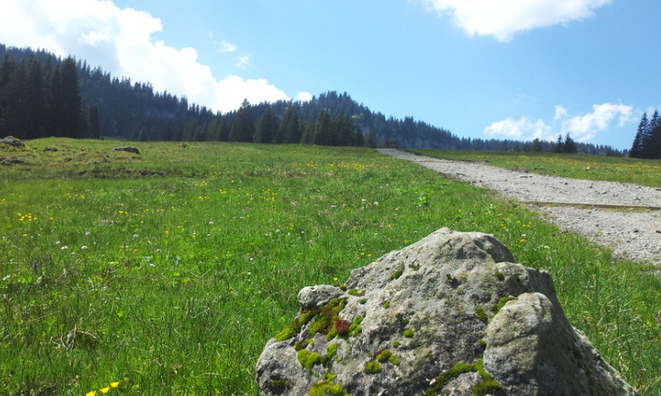 Weg zum Scheuenwasserfall in Balderschwang