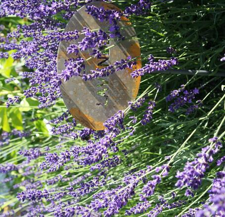 Kräutergarten in Balderschwang im Allgäu