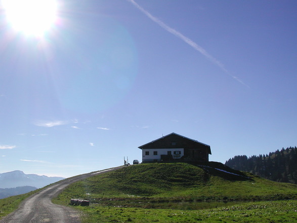 Alpe Spicherhalde in Balderschwang
