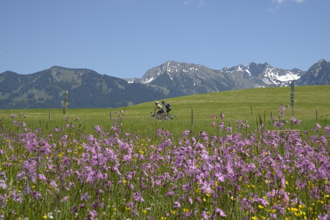 Radfahren mit Bergblick in Bolsterlang