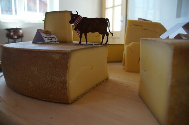Allgäuer Bergkäse und mehr