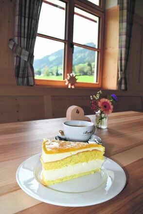 Leckere Käse-Sahne- Torte