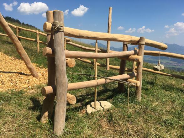 Steinzeitbohrer Bolsterlang