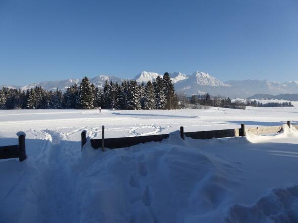 Loipe vor der Haustüre
