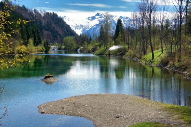 Auwaldsee im Frühling
