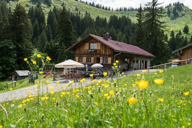 Die Alpe Bolgen im Bolgental bei Bolsterlang