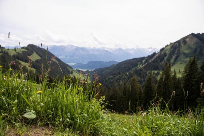 Wunderschöner Ausblick vom Berghaus Schwaben in die Oberstdorfer Berge