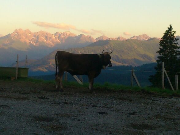 Stimmungsvoller Alpsommer in den Hörnerdörfern