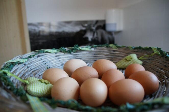 Frische Eier von Haslachs Hof