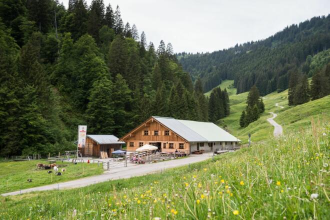 Die Alpe Zunkleiten im Bolgental bei Bolsterlang im Allgäu