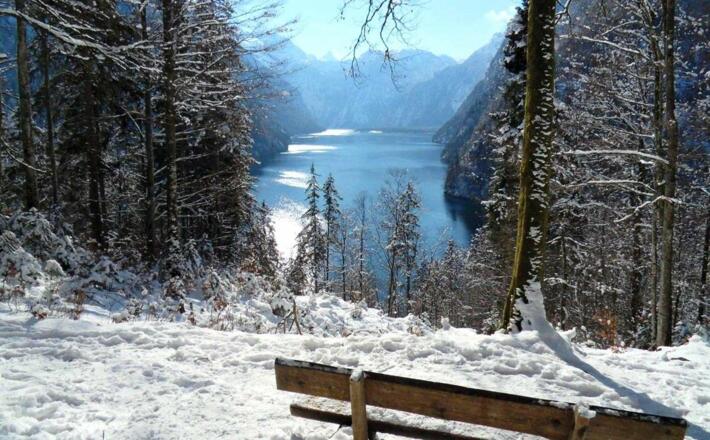 Aussicht vom Malerwinkel über den Königssee nach St. Bartholomä