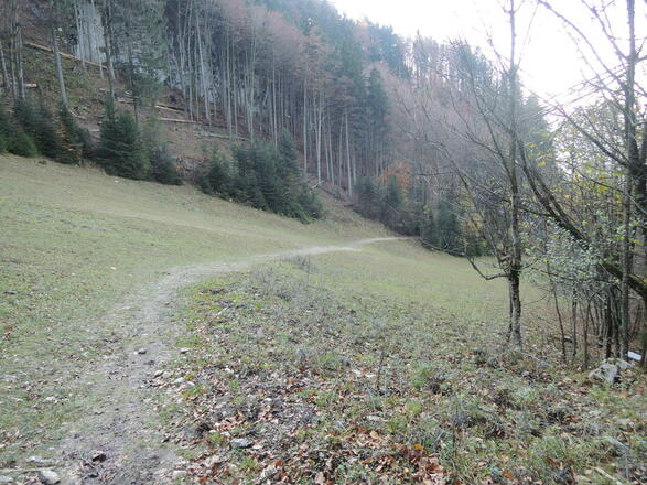 Man quert eine Almwiese.