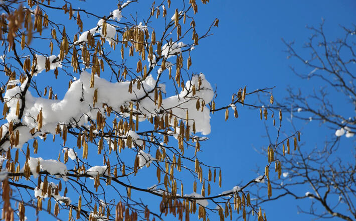 Winterwandern: Wunderbare Naturerlebnisse
