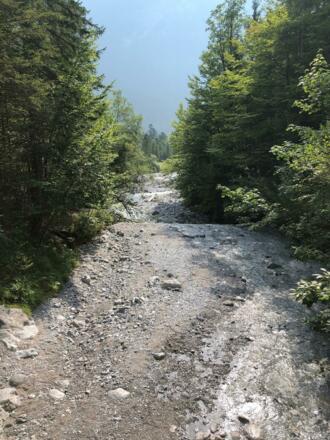 Ein kleiner Bach am Wanderweg