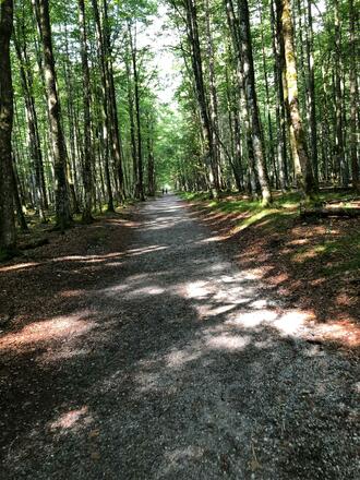 Wanderweg