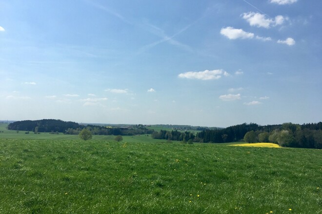 Wiesen und Felder