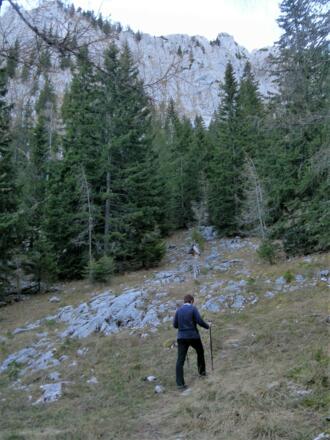 Bergwiese unter der Dürreckberg-Südwand