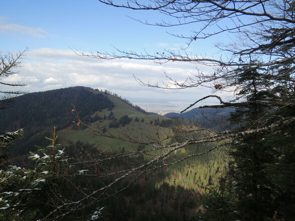 Blick zum Chiemsee