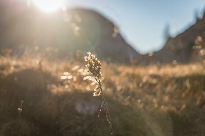 Herbststimmung am Seeleinsee