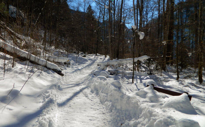 Der Weg zum Malerwinkel am Königssee im Winter