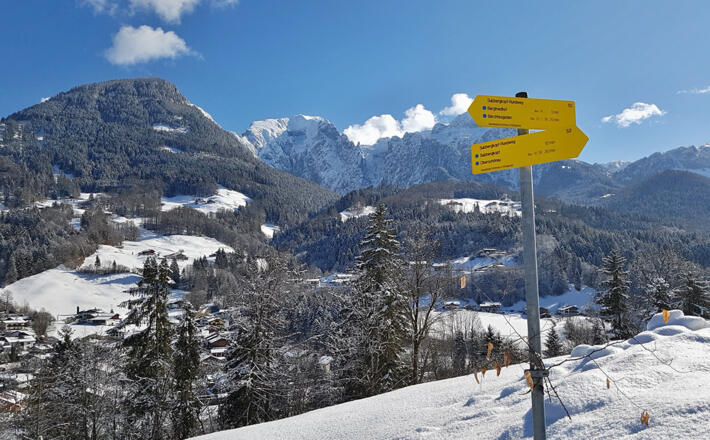 Sulzbergkopf Rundweg