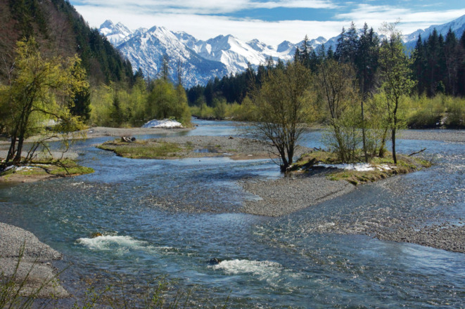 Auwaldsee im Frühling