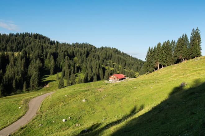 Die Freiburger Alpe im Lochbachtal bei Obermaiselstein