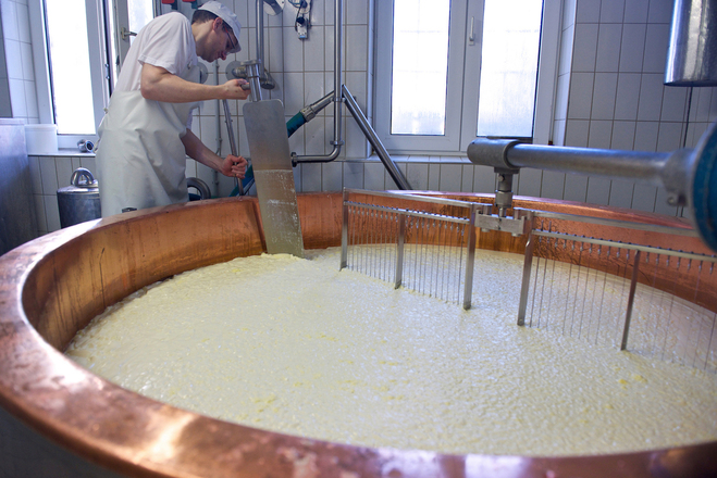 Bergkäse-Sennerei Schweineberg in Ofterschwang