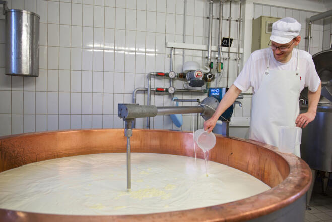 Bergkäse-Sennerei Schweineberg in Ofterschwang