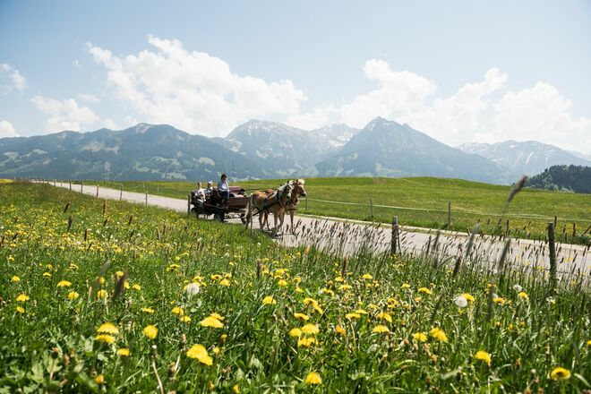 Genussvolle Kutschfahrten von Obermaiselstein aus quer durch die Hörnerdörfer