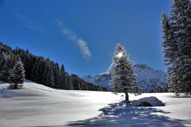 Geführte Skitour