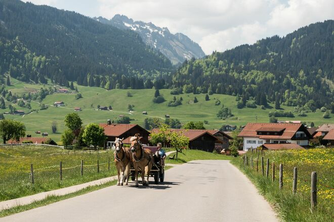 Genussvolle Kutschfahrten von Obermaiselstein aus quer durch die Hörnerdörfer