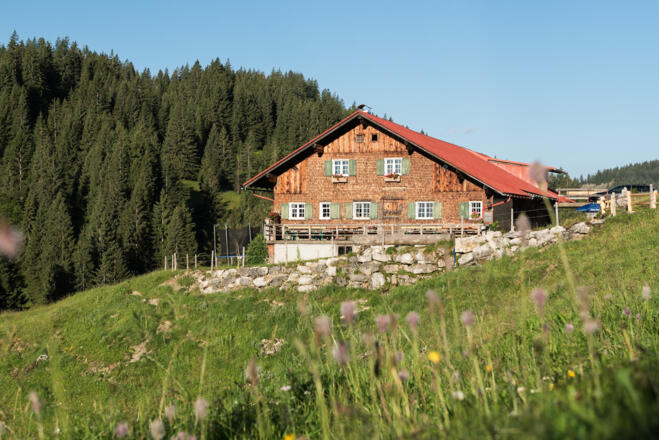 Freiburger Alpe mit Sonnenterrasse und Kinderspielplatz bei Obermaiselstein